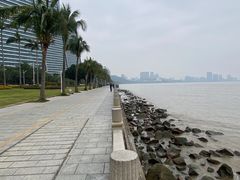 -观澳平台