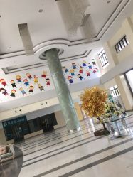 -上海美兰湖妇产科医院
