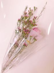 -海豚湾高端月子会所(黄浦店)