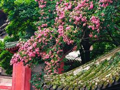 -报恩寺(平武县)