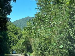 -天龙顶山地公园