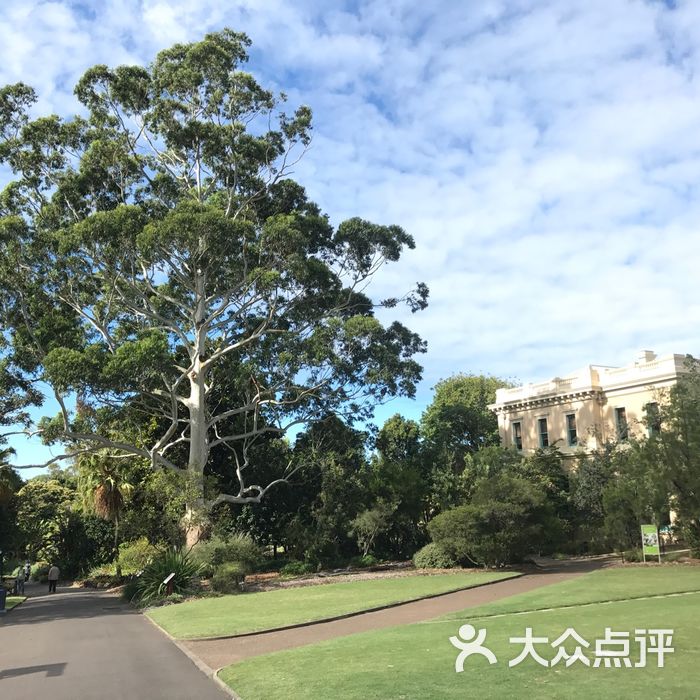 悉尼皇家植物園圖片-北京公園-大眾點評網