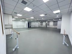 -西安小天鹅艺术团(金花路校区)