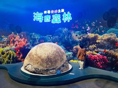 -浙江自然博物院(杭州馆)