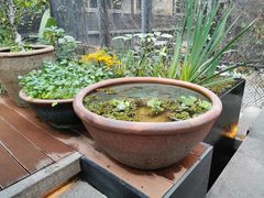 -肴约·花园式餐厅(湖里店)