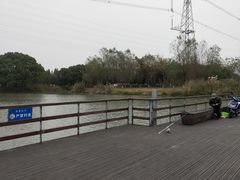 -长田漾湿地公园