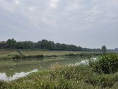 -洨河生态公园