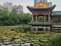 -迎泽公园