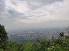 -杭州半山国家森林公园