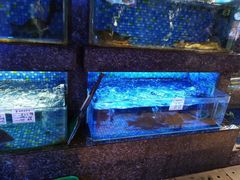 -乾隆美食·本帮菜(黄河路店)