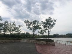 -东郊湿地公园