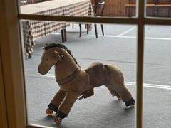 -重庆和泰马术俱乐部