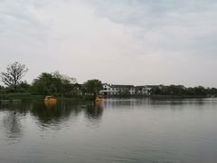 -上海长兴岛郊野公园