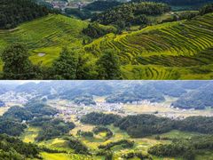 -紫鹊界梯田景区