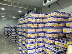 -双福水果批发市场