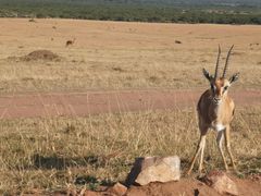 -上海国际旅行卫生保健中心(浦东分中心)