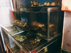 -小郭私房菜·海肠捞饭店(学士街店)