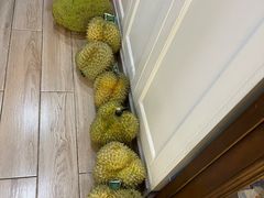 -华润·凯旋名邸