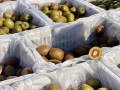 -三旗百汇商品城