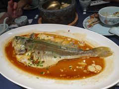 潮汕普宁豆蒸黄花鱼-维园悦谱·海派家常菜(乌鲁木齐南路店)