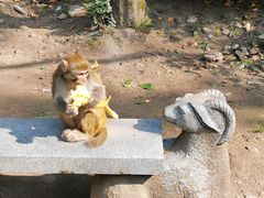 -黔灵山公园