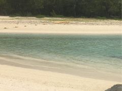 -塞尔夫岛