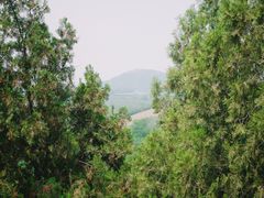 -茂陵博物馆