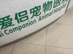 -爱侣宠医·鹦鹉专科·小型哺乳类·异宠专科(灵石路店)