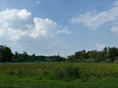 -盐帮食坊•小河帮川菜(四川师大店)