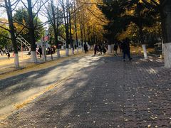 -辽东学院(南校区)