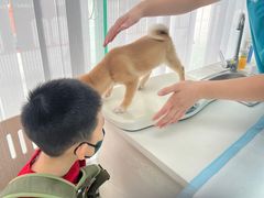 -美美宠物诊疗中心·异宠·骨科(滨江东信分院)