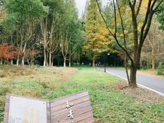 -东平国家森林公园