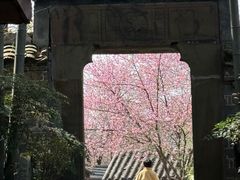 -木子山庄·安徽省老字号·中国炖锅宴