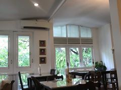 -Fern Forest Cafe