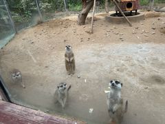 -呀路古热带植物园