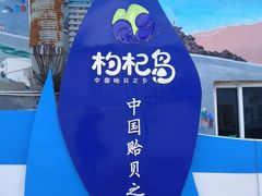 -枸杞岛