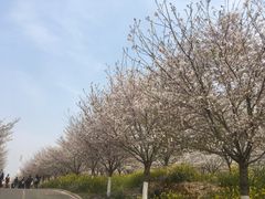 -古柏渡飞黄旅游区