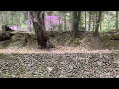 -西芳寺(苔寺)