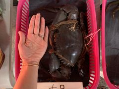 -龙海鲜螃蟹王(宏茂桥店)