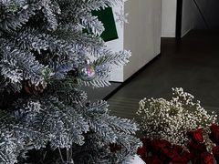 -悦庭六号餐厅(麦岛店)