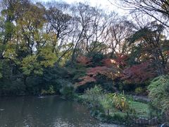 景点-热田神宫