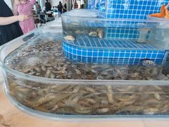 -万达文华酒店·48F云端窗景美食汇自助餐厅