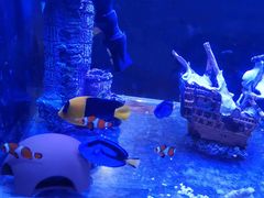 -水碾河刘老大串串香(水碾河路店)