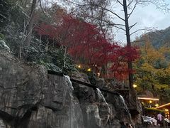 -宁海森林温泉