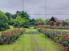 -上海滨江森林公园