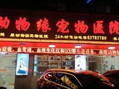 -动物缘宠物医院·骨科·猫科(西二环店)