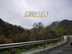 -秦岭风景区