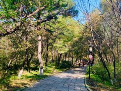 -高尔山公园