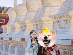 -大召释迦八塔