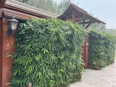 -御林汤泉